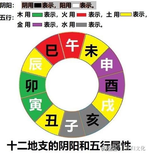 李 五行屬性|【李的五行】李姓的五行之謎：火還是木？揭密「李」字五行屬性。